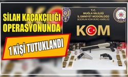 Silah kaçakçılığı operasyonunda 1 Kişi tutuklandı