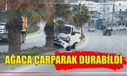 Ağaca Çarparak Durabildi