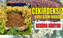 Çekirdeksiz kuru üzüm ihracatı rekora gidiyor