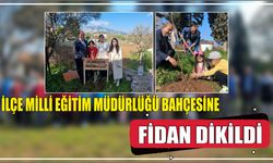 İlçe Milli Eğitim Müdürlüğü bahçesine fidan dikildi