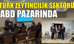 Türk zeytincilik sektörü ABD pazarında