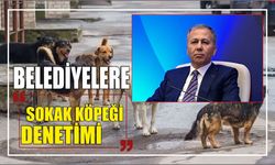 Belediyelere sokak köpeği denetimi