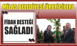 MİLAS BELEDİYESİ ÜRETİCİLERE FİDAN DESTEĞİ SAĞLADI