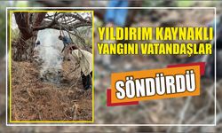 Yıldırım kaynaklı yangını vatandaşlar söndürdü