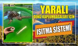 Yaralı deniz kaplumbağaları için ısıtma sistemi