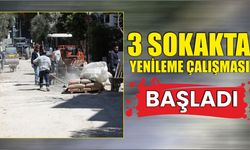 3 SOKAKTA YENİLEME ÇALIŞMASI BAŞLADI