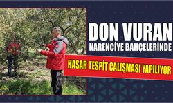 Don vuran narenciye bahçelerinde hasar tespit çalışması yapılıyor