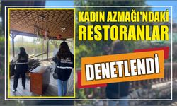 Kadın Azmağı'ndaki restoranlar denetlendi