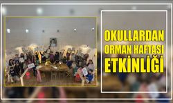 Okullardan Orman Haftası Etkinliği