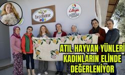 Atıl hayvan yünleri kadınların elinde değerleniyor