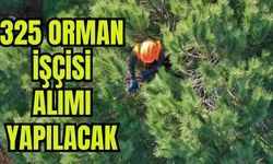 325 Orman İşçisi Alımı Yapılacak