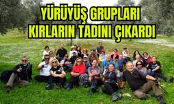 Yürüyüş grupları kırların tadını çıkardı