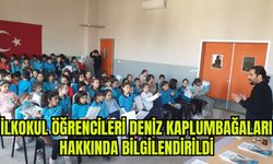 İlkokul öğrencileri deniz kaplumbağaları hakkında bilgilendirildi