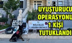 Uyuşturucu Operasyonu 1 Kişi Tutuklandı