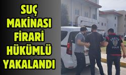 Suç Makinası firari hükümlü yakalandı