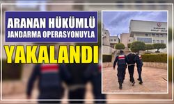 Aranan Hükümlü Jandarma Operasyonuyla Yakalandı