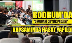 Bodrum'da "Okuldaki Çiftlik Projesi" kapsamında hasat yapıldı