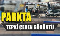 Parkta Tepki Çeken Görüntü