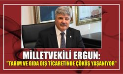 Milletvekili Ergun: "Tarım ve Gıda Dış Ticaretinde Çöküş Yaşanıyor"