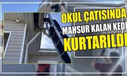 Okul çatısında mahsur kalan kedi kurtarıldı