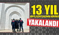 13 yıl hapis cezası bulunan hükümlü yakalandı