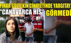 Pınar Gültekin Cinayetinde Yargıtay, "Canavarca His" Görmedi