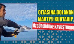 Oltasına dolanan martıyı kurtarıp, özgürlüğüne kavuşturdu