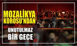 Mozalikya Korosu’ndan Unutulmaz Bir Gece