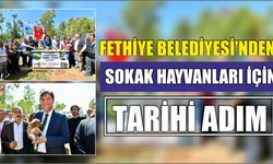 Fethiye Belediyesi’nden Sokak Hayvanları İçin Tarihi Adım