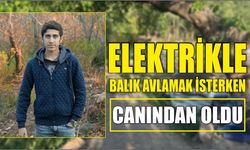 Elektrikle balık avlamak isterken canından oldu