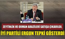 Zeytinlik ve Orman Arazileri Satışa Çıkarıldı, İYİ Partili Ergun Tepki Gösterdi