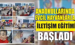 Anaokullarında evcil hayvanlarla iletişim eğitimi başladı
