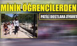 MİNİK ÖĞRENCİLERDEN PATİLİ DOSTLARA ZİYARET