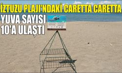 İztuzu Plajı'ndaki caretta caretta yuva sayısı 10'a ulaştı