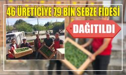 46 üreticiye 79 bin sebze fidesi dağıtıldı