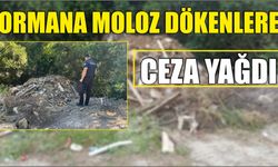 Ormana moloz dökenlere ceza yağdı