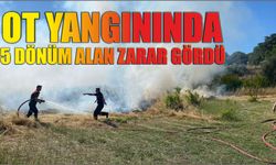Ot yangınında  5 dönüm alan zarar gördü