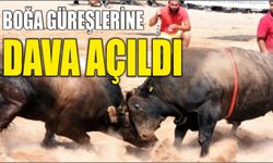 Boğa güreşlerine dava açıldı
