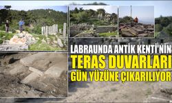 Labraunda Antik Kenti'nin teras duvarları gün yüzüne çıkarılıyor