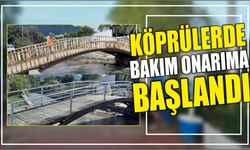 Köprülerde Bakım Onarıma Başlandı