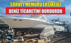 Sörvey Memuru Eksikliği Deniz Ticaretini Durdurdu