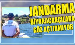 Jandarma Biyokaçakçılara Göz Açtırmıyor