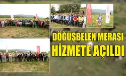 Döğüşbelen Merası Hizmete Açıldı