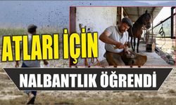 Atları için nalbantlık öğrendi