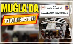 Muğla'da tefeci operasyonu