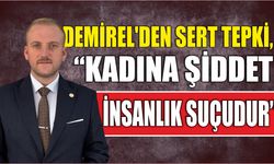 Demirel’den Sert Tepki, “Kadına Şiddet İnsanlık Suçudur”