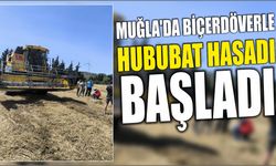 Muğla'da Biçerdöverle Hububat Hasadı Başladı