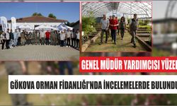 Genel Müdür Yardımcısı Yüzer, Gökova Orman Fidanlığı’nda İncelemelerde Bulundu