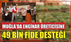 Muğla’da Enginar Üreticisine 49 Bin Fide Desteği