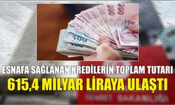 Esnafa sağlanan kredilerin toplam tutarı 615,4 milyar liraya ulaştı
